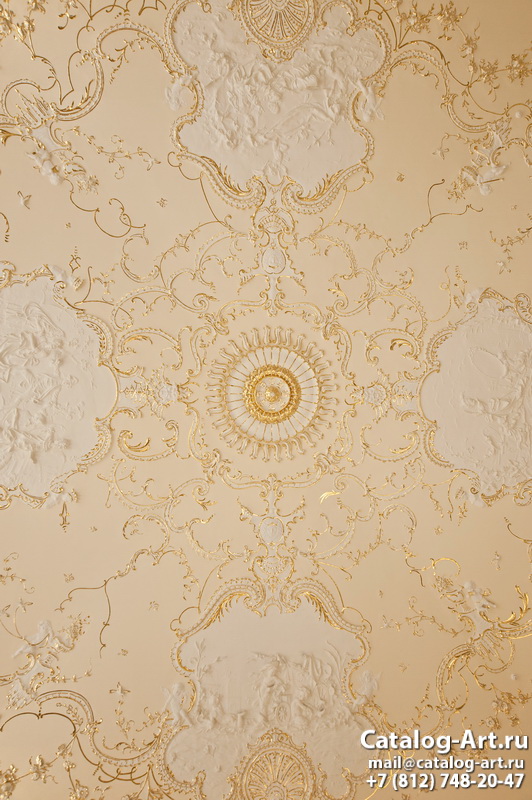 Palace ceilings 22